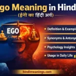 Ego Meaning in Hindi