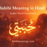 Habibi Meaning in Hindi
