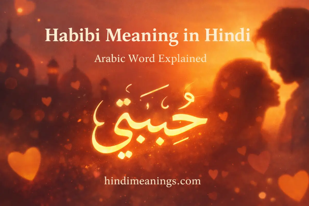 Habibi Meaning in Hindi