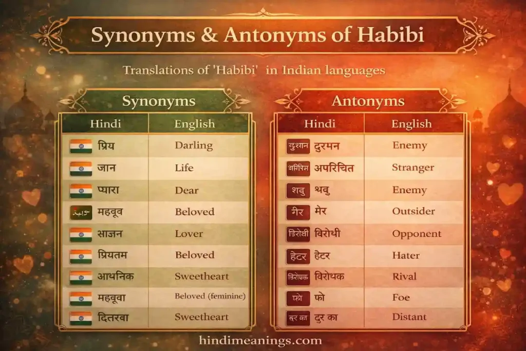 Definition of Habibi