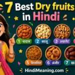 7 best dry fruits in Hindi