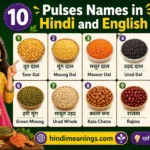 10 Pulses Names in Hindi and English | दालों के नाम हिंदी और अंग्रेजी में