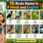 10 Birds Name in Hindi and English | पक्षियों के नाम हिंदी और अंग्रेजी में – Spanish, Arabic & All Languages