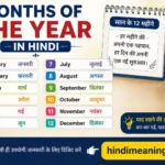 Months of the yeear in hindi