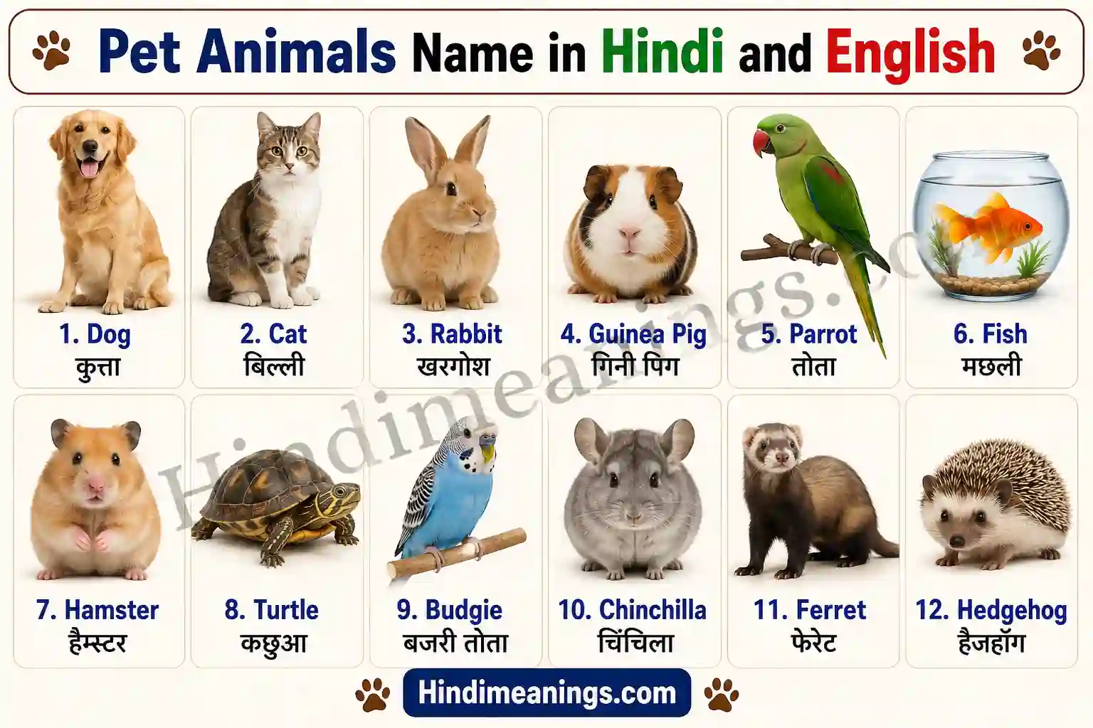Pet Animals Name in Hindi and English | Complete Guide