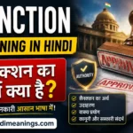 Sanction meaning in Hindi
