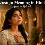 "justuju meaning in hindi"