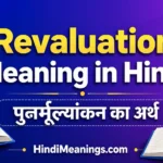 revaluation meaning in hindi