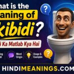 What is the Meaning of Skibidi? | Skibidi Ka Matlab Kya Hai