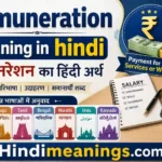 Remuneration meaning in hindi