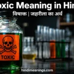 toxic meaning in hindi