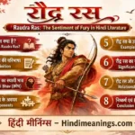 Raudra Ras Ki Paribhasha