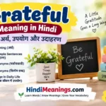 Graeatful meaning in hindi