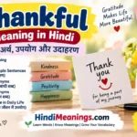 Thankful Meaning in Hindi