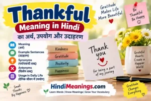 Thankful Meaning in Hindi: आभारी + 15 Easy Examples