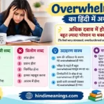 Overwhelmed Meaning in Hindi