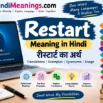 Restart Meaning in Hindi