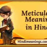 Meticulous Meaning in Hindi