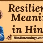 Resilience Meaning in Hindi